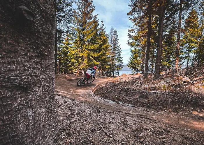 Olympic - Beskidy To Tu Apartmán