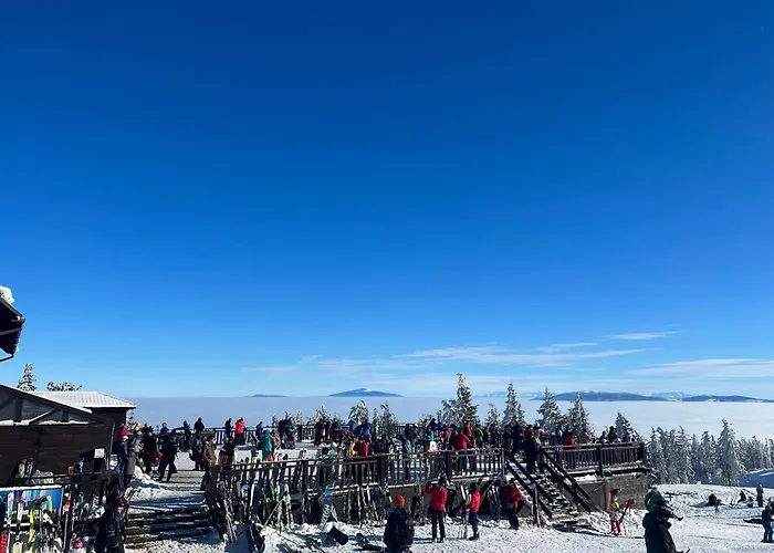 Olympic - Beskidy To Tu Apartmán *